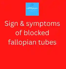 Sign & symptoms of blocked fallopian tubes ? What is the first sign of an ectopic pregnancy in woman?