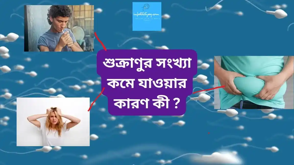 পুরুষের বীর্যে কতটি শুক্রাণু থাকা স্বাভাবিক?