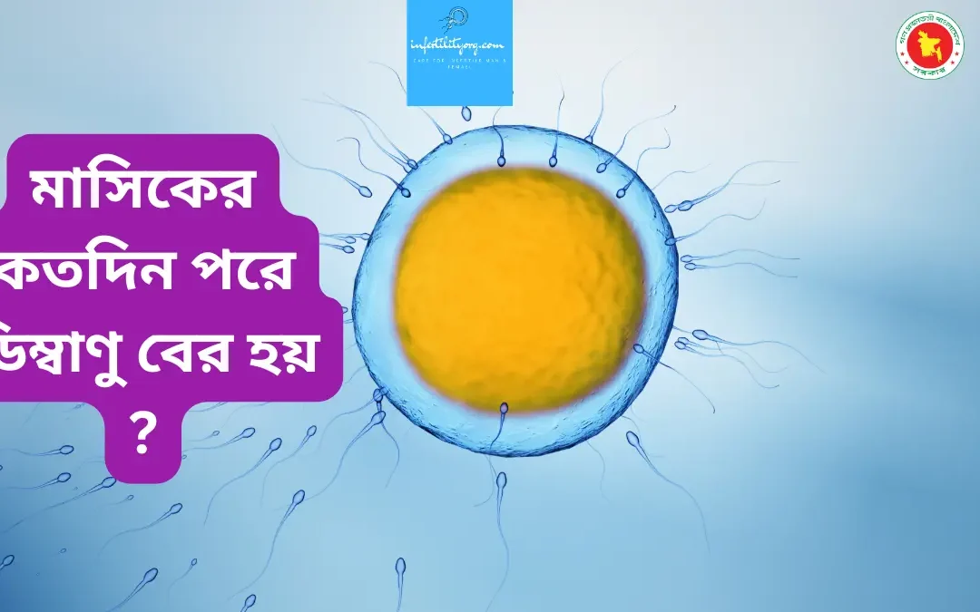 মেয়েদের ডিম্বাণু কি ?