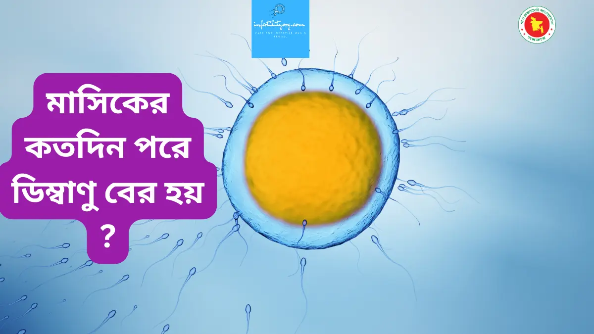মেয়েদের ডিম্বাণু কি ?