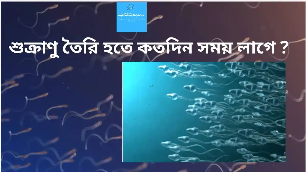 শুক্রাণু কতদিন বাঁচে